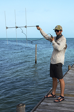 Earthwatch volunteer using scientific instruments to study sharks in Belize.